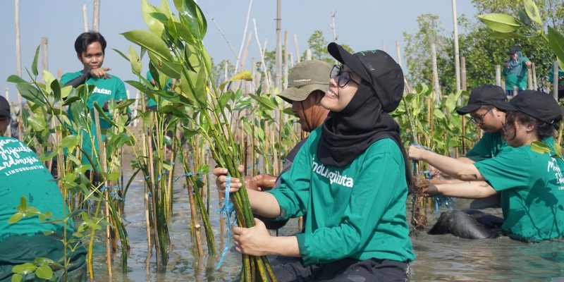 Program Mangrove Capital LindungiHutan, Bantu Perusahaan Anda Mewujudkan Sustainable Finance